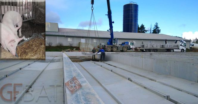 construction de porcherie d'engraissement équipé d’un système de raclage